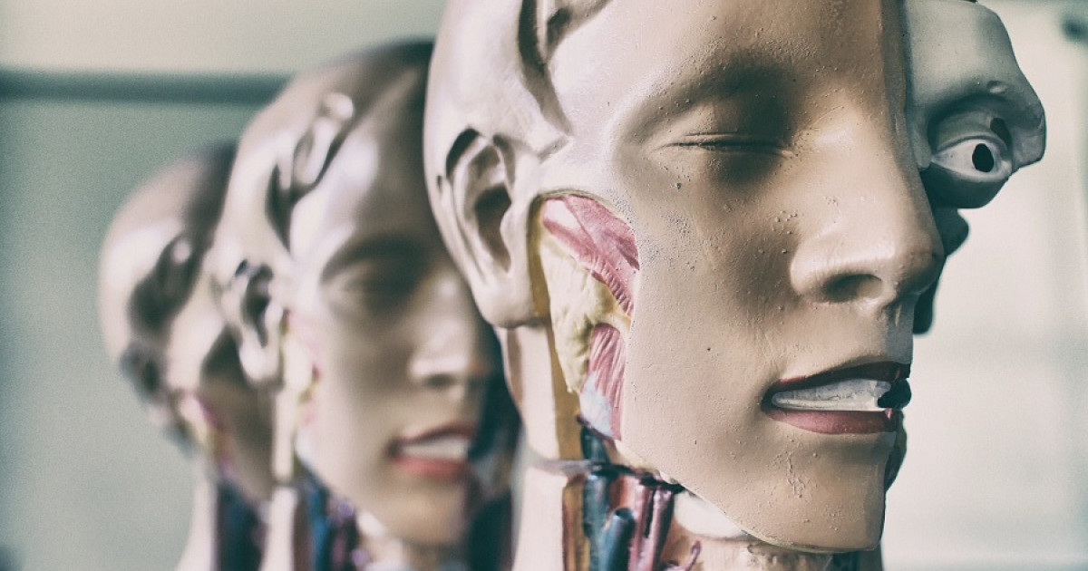 30 de curiozitati despre corpul uman care te vor surprinde